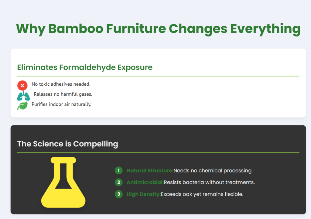 why bamboo furniture changes everything